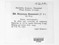 Image Associated With the Occurence